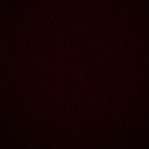 Meet your Posher, Eva